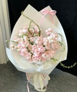 Hoa Hồng Tiểu Thư Pastel